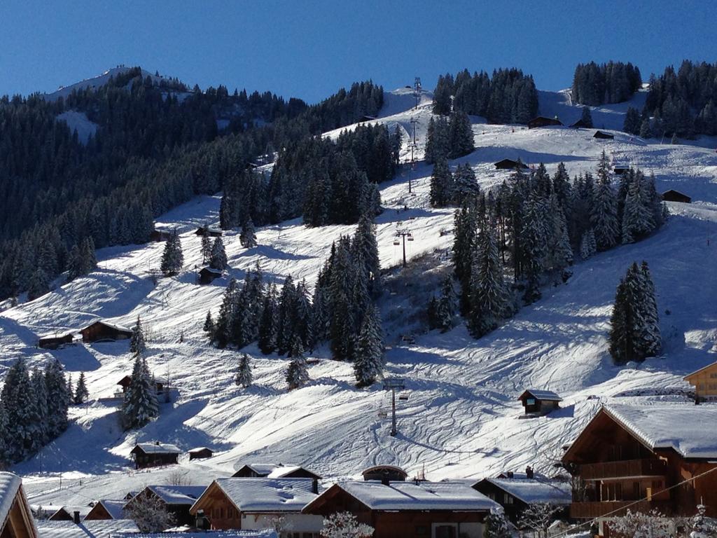 Chalet Butterfly Adelboden Kamer foto