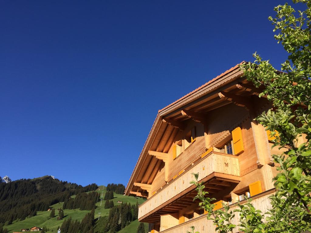 Chalet Butterfly Adelboden Buitenkant foto